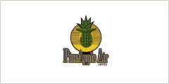 Pineapple Air