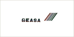 Guinea Ecuatorial Airlines Logo