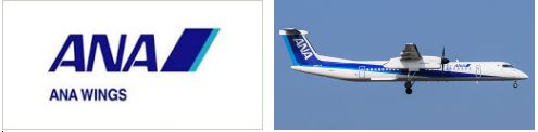 ANA Wings