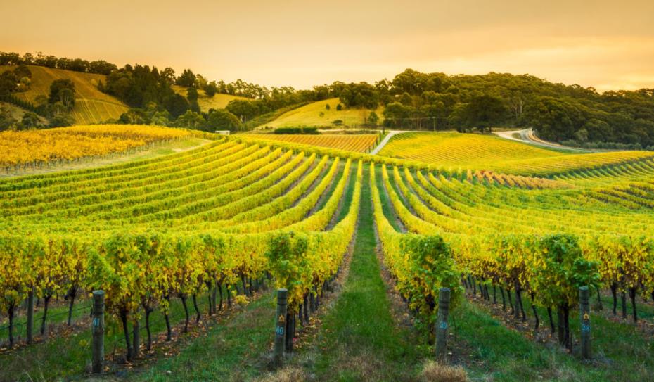 Barossa Valley
