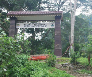Gunung Leuser National Park