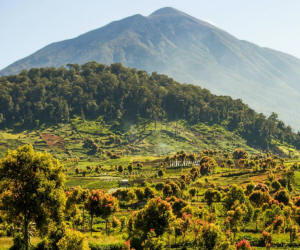 Kerinci Seblat National Park