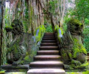 Monkey Forest Sanctuary