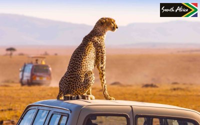 South Africa Tourism