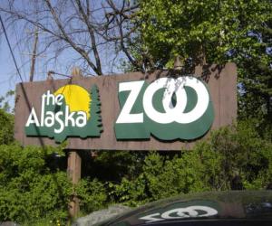 Alaska Zoo