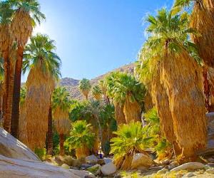 Agua Caliente Indian Reservation