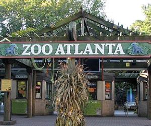 Zoo Atlanta