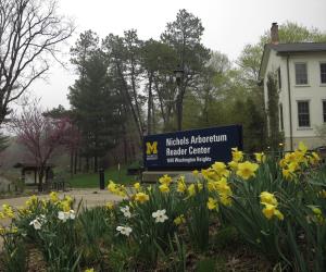Nichols Arboretum