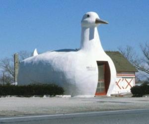 Big Duck