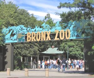 Bronx Zoo